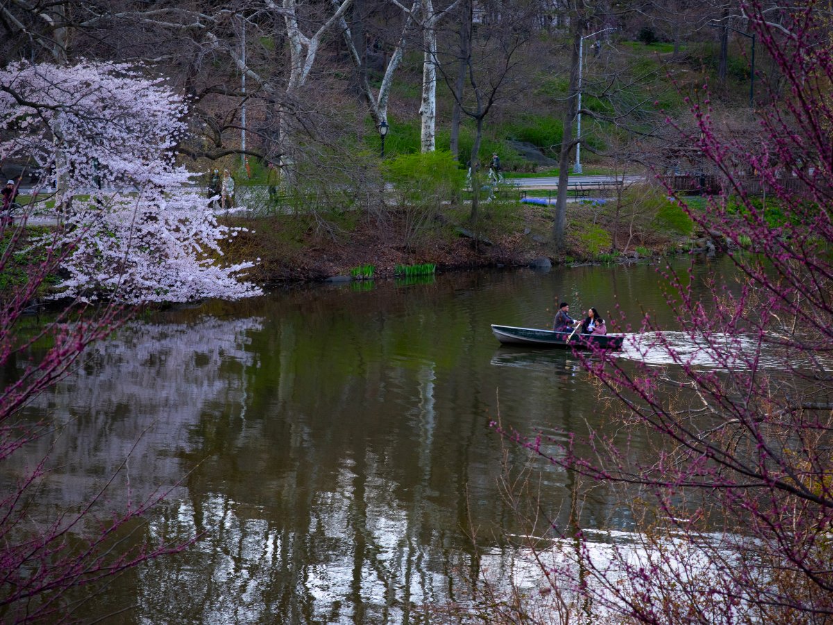 Central Park - BoujiTravel