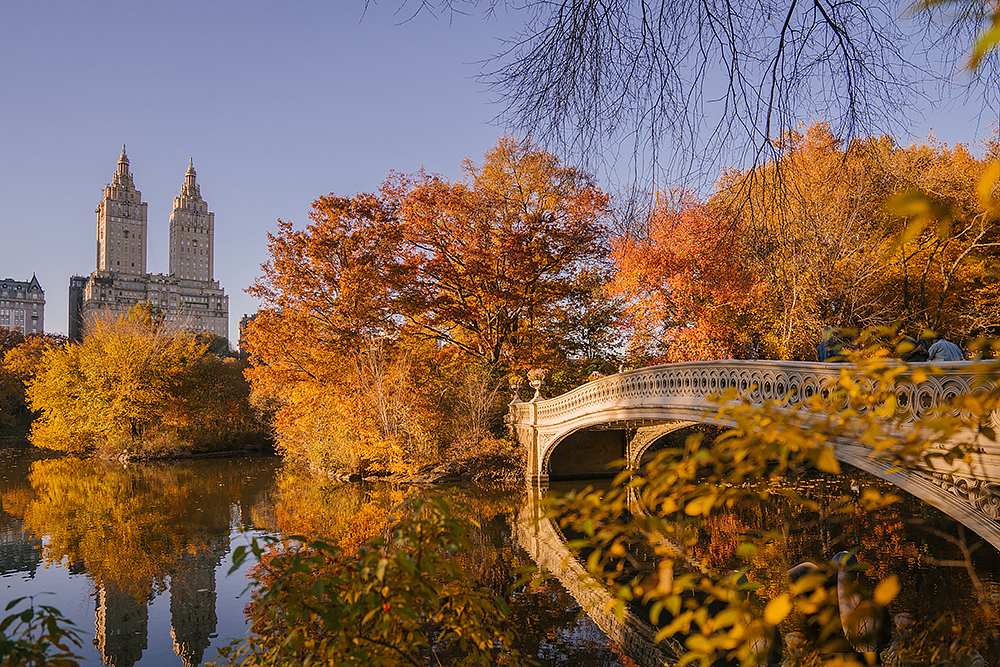 10 Best Locations to Visit in New York City this Fall of 2023